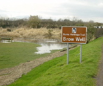 browwell2 browwell2